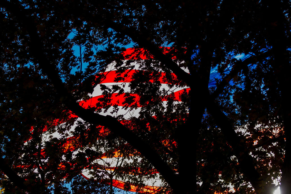 american flag through trees