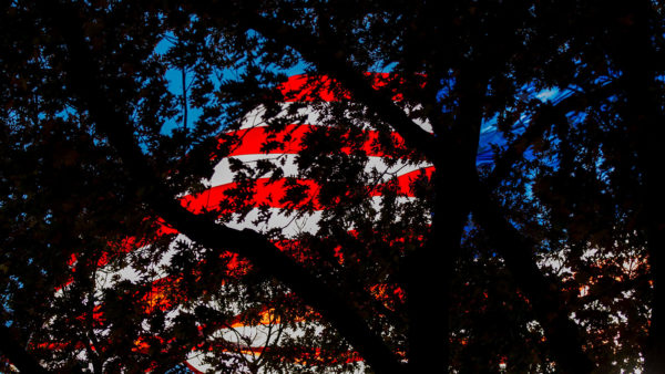 american flag through trees